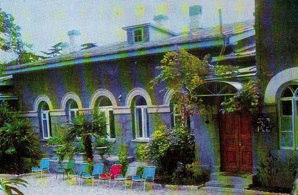 М. Горький: крымский буревестник